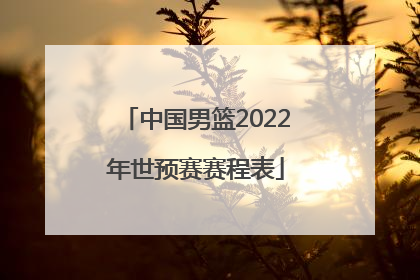「中国男篮2022年世预赛赛程表」2022世预赛中国男篮名单