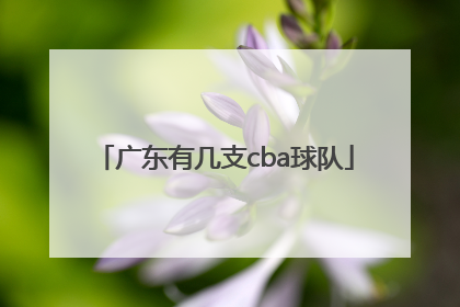 「广东有几支cba球队」cba广东队几次总冠军